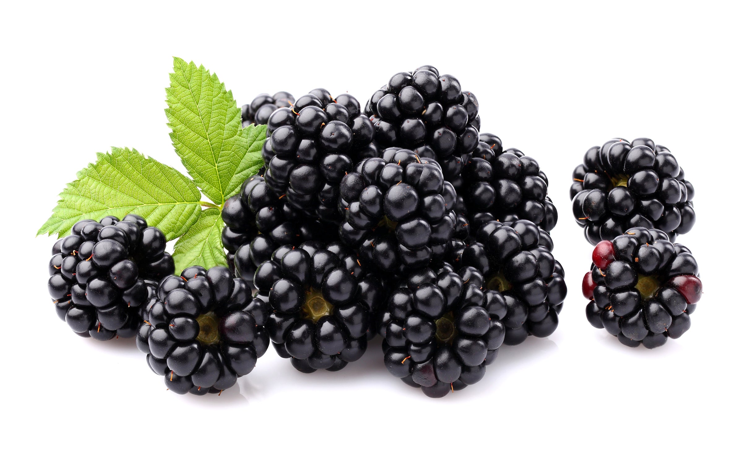 Blackberry antioxidants