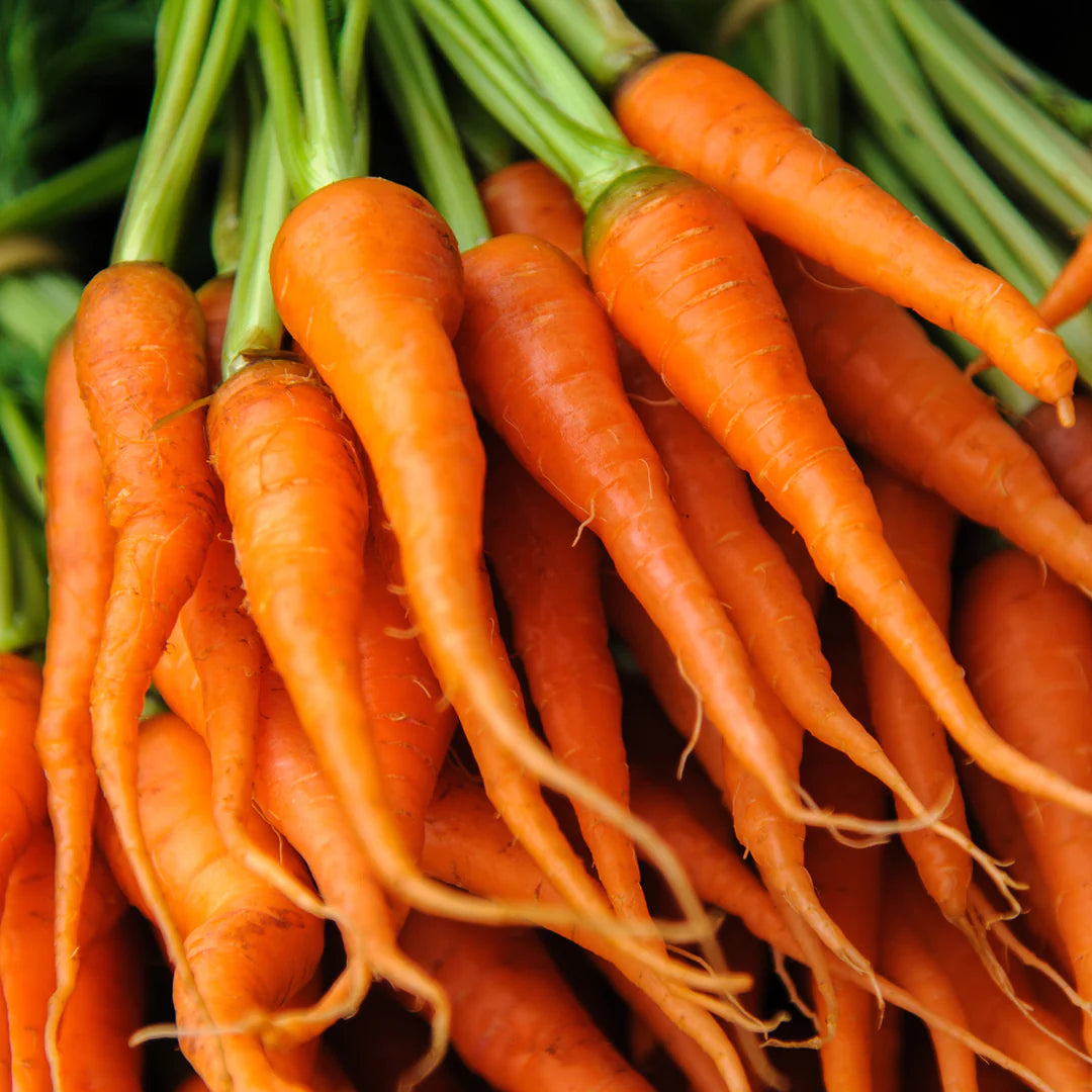 Carrot Benefits For Skin & Hair