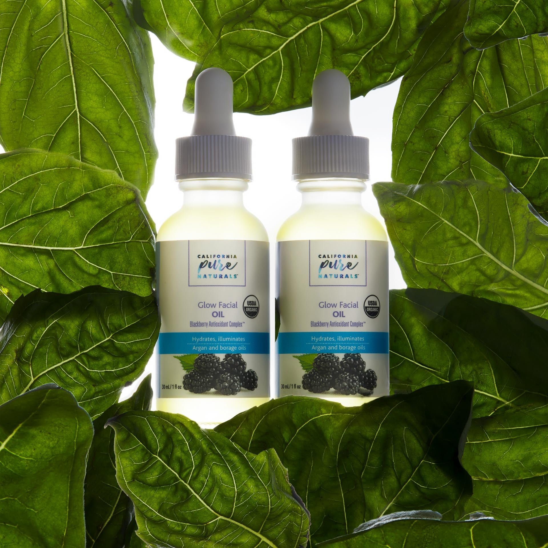 Organic Glow Facial Oil Set